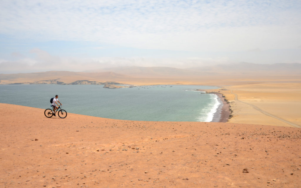 Cyclist, desert meets ocean in Paracas National Reserve, one of the 4 Peru highlights south of Lima. Others are Ballestas, Huacachina and Nazca