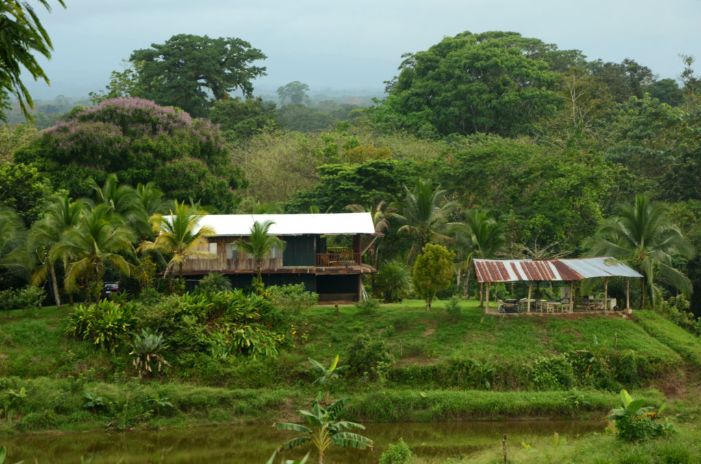 Hostel Casa Sarapiqui in a quaint setting, amidst acres of farmlands and jungles. 