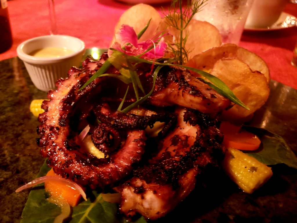 Octopus dish at Koki restaurant, probably the best restaurant in the Puerto Viejo town