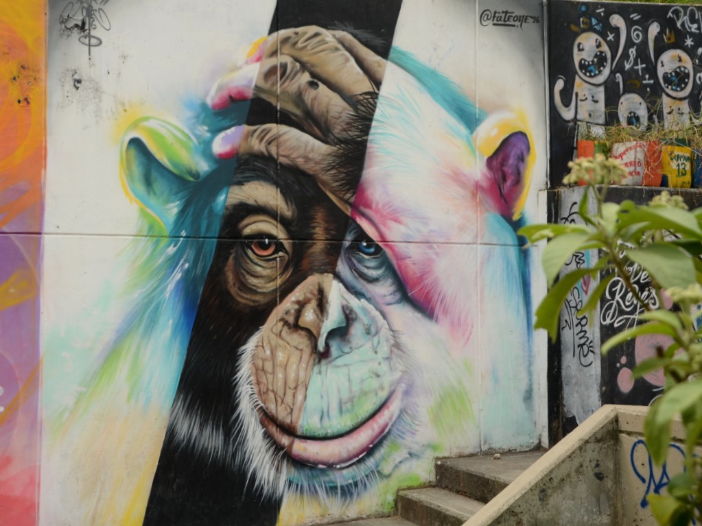 Comuna 13 graffiti - chimpanzee with hand on his head