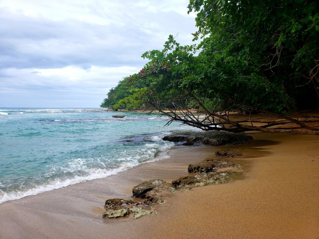 A beach in Gondoca-Manzanillo Wildlife Refuge in Puerto Viejo, Costa Rica.