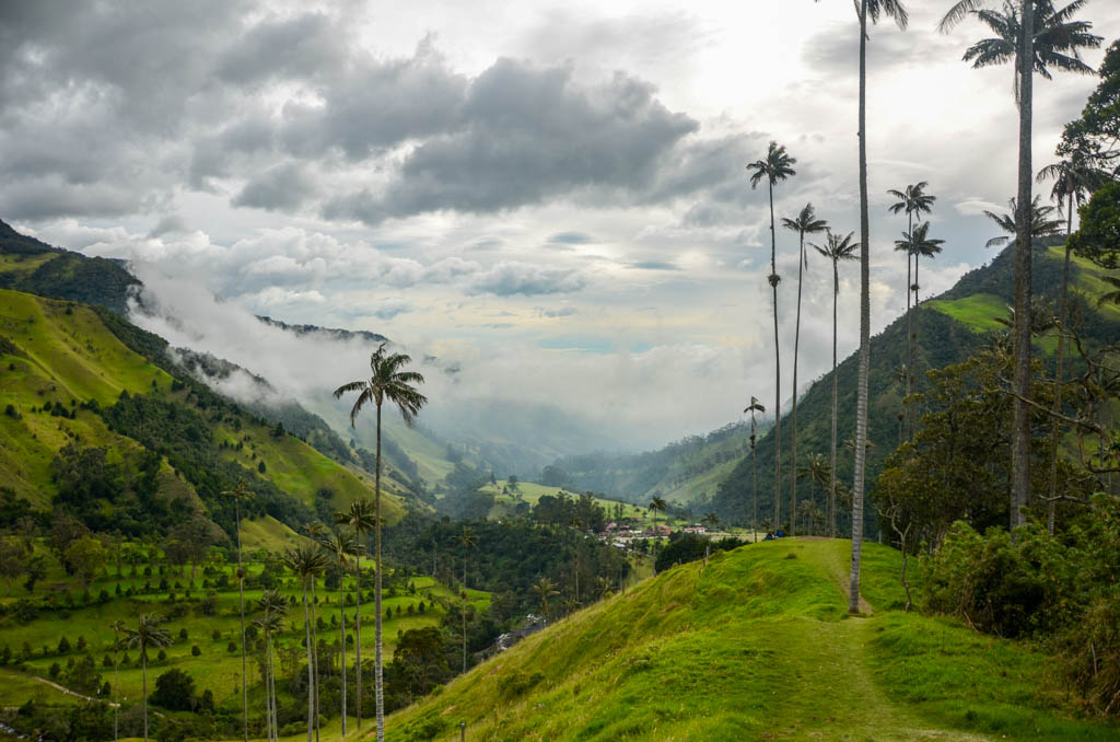 The hills and the palm trees of Cocora Valley