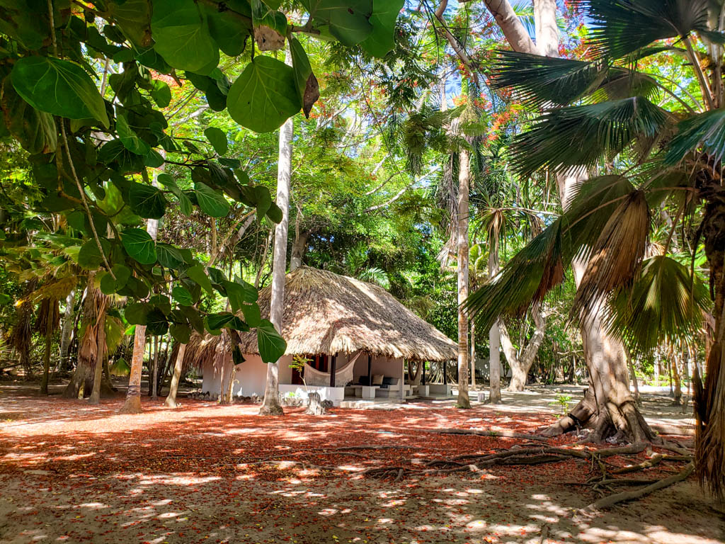 A thatched roof cottage, attached private sit-out with sofas and hammocks. The cottage is framed by green foliage on left, right and top. Red flowers fallen from the trees adorn the ground. San Pedro de Majagua is a great place to stay on Rosario Islands.