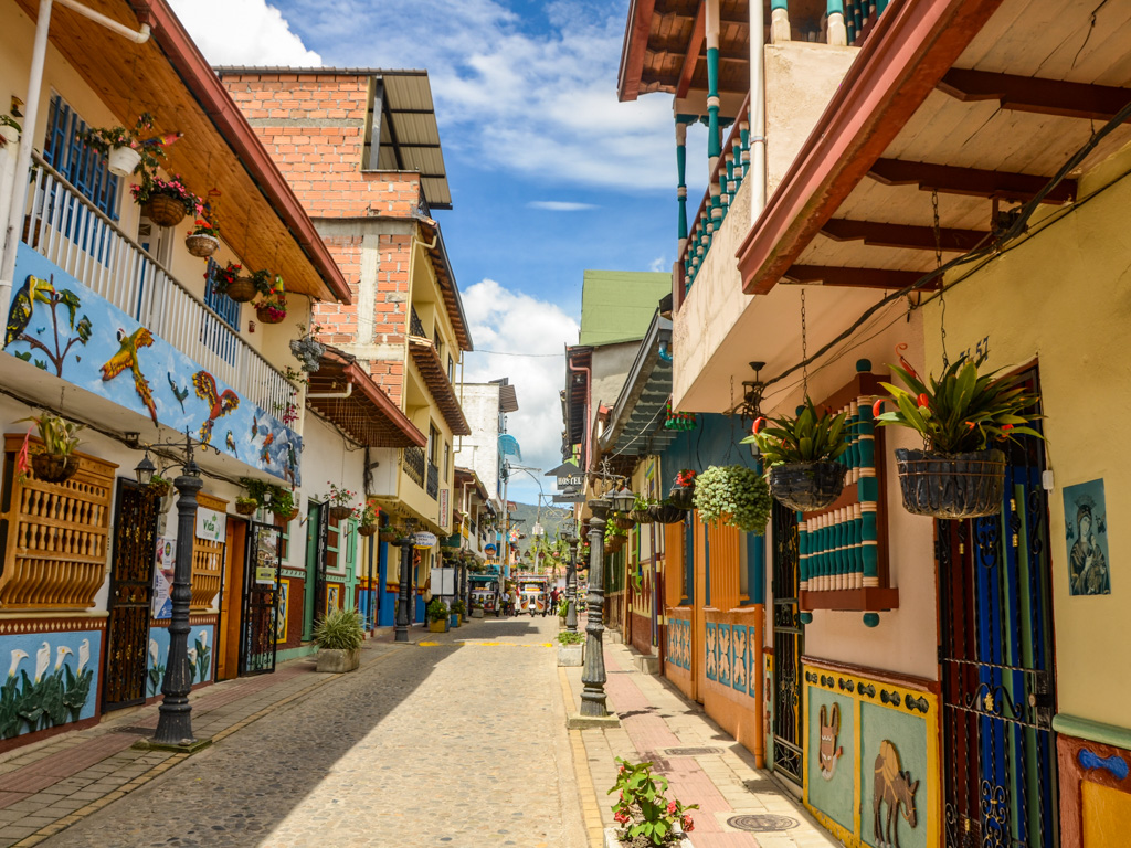 Cobblestone street lined with colorful buildings on either side. The buildings have hanging potted plants and walls with zocalos.