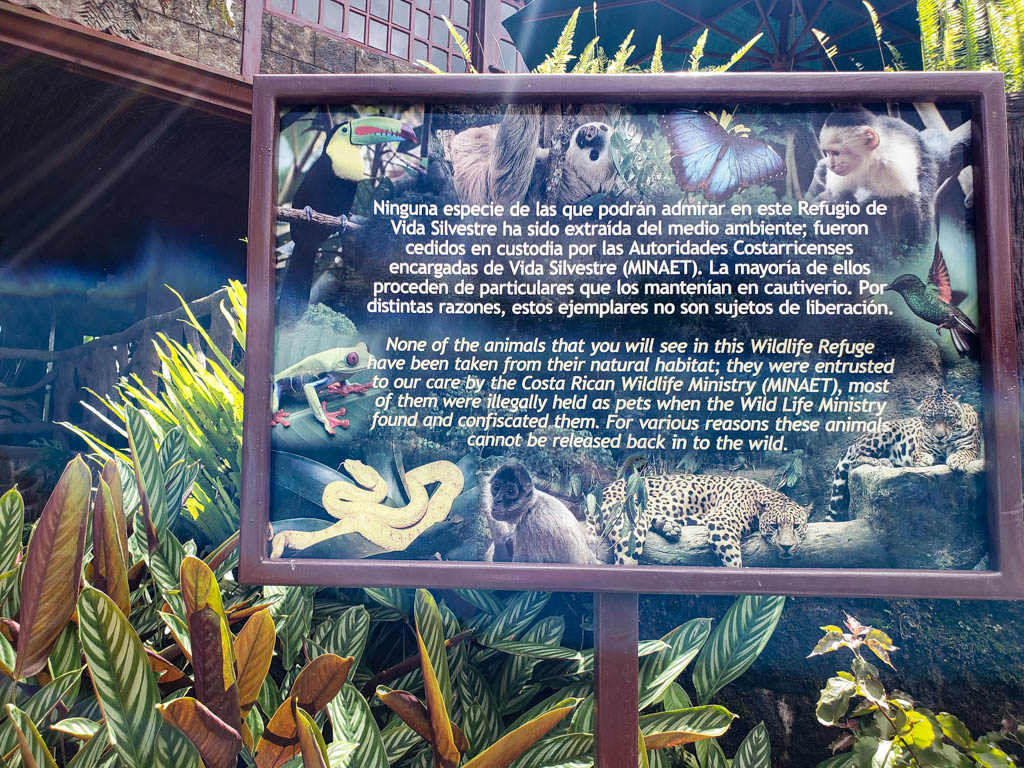 Board explaining how Costa Rica Wildlife Ministry entrusted La Paz Waterfall Gardens with the responsibility of the illegally held confiscated animals. 