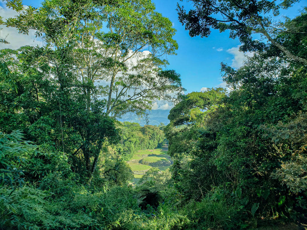 View of the site of the Central Mound from Mirador at Guayabo