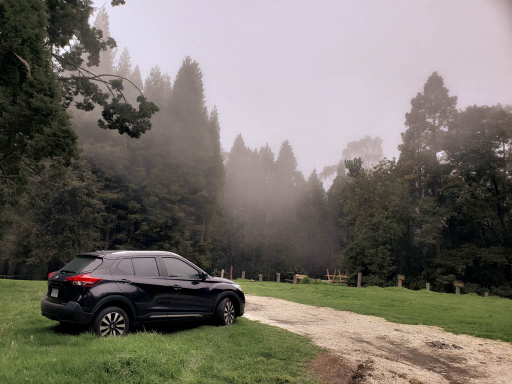 Black car parked in the parking lot of Sector Prusia. Tall coniferous trees are covered in mist and clouds.