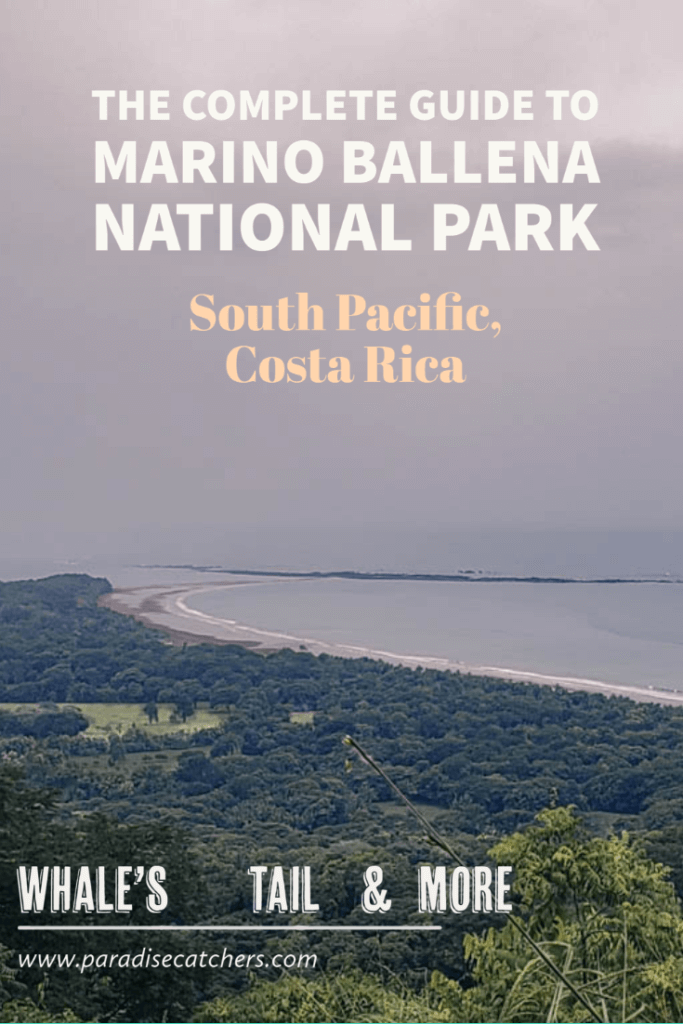 The Complete Guide to the Marino Ballena National Park. The park has the unique Whale's Tail formation, best humpback whale watching opportunities in Costa Rica and more activities. Close to the Uvita town and accessible from the other nearby towns - Dominical and Ojochal.