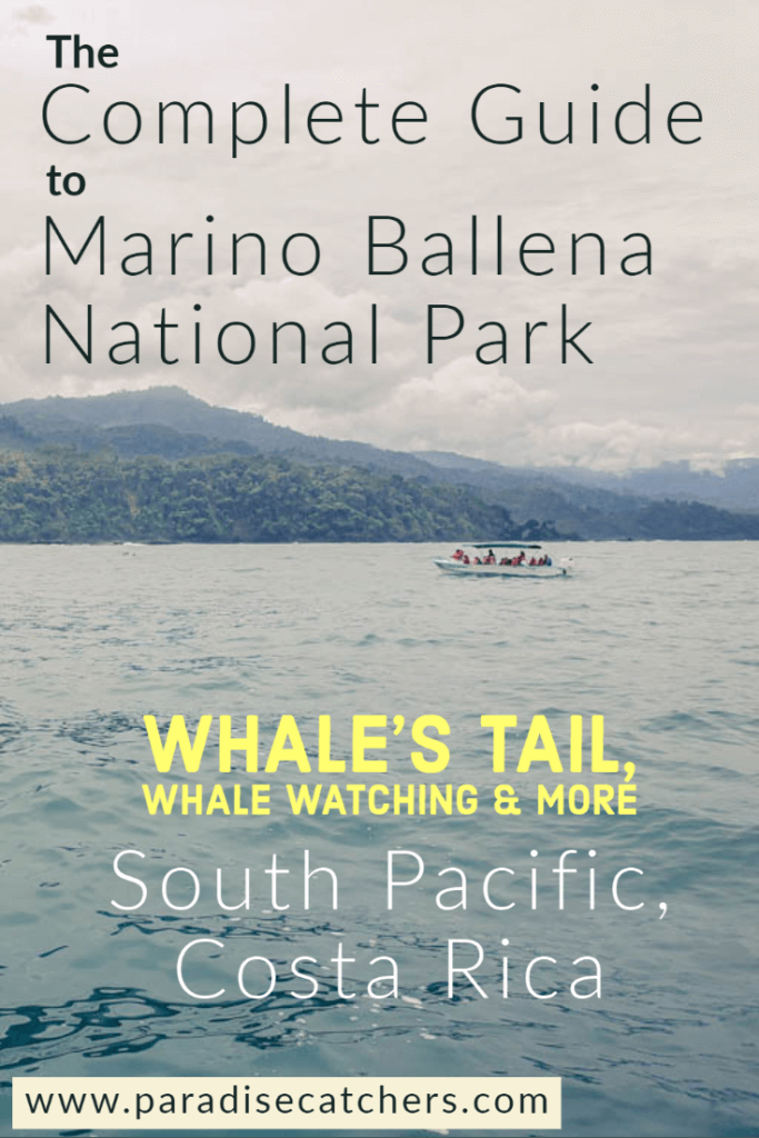 The Complete Guide to the Marino Ballena National Park. The park has the unique Whale's Tail formation, best humpback whale watching opportunities in Costa Rica and more activities. Close to the Uvita town and accessible from the other nearby towns - Dominical and Ojochal.
