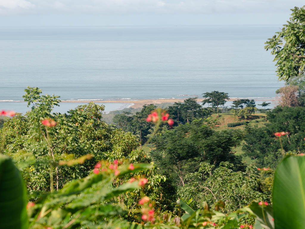 Glimpse of the Whale's Tail formation at Punta Uvita