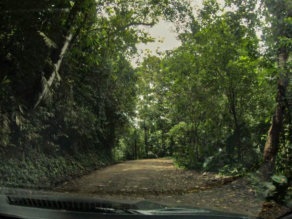 Access road to Oxygen Jungle Villas