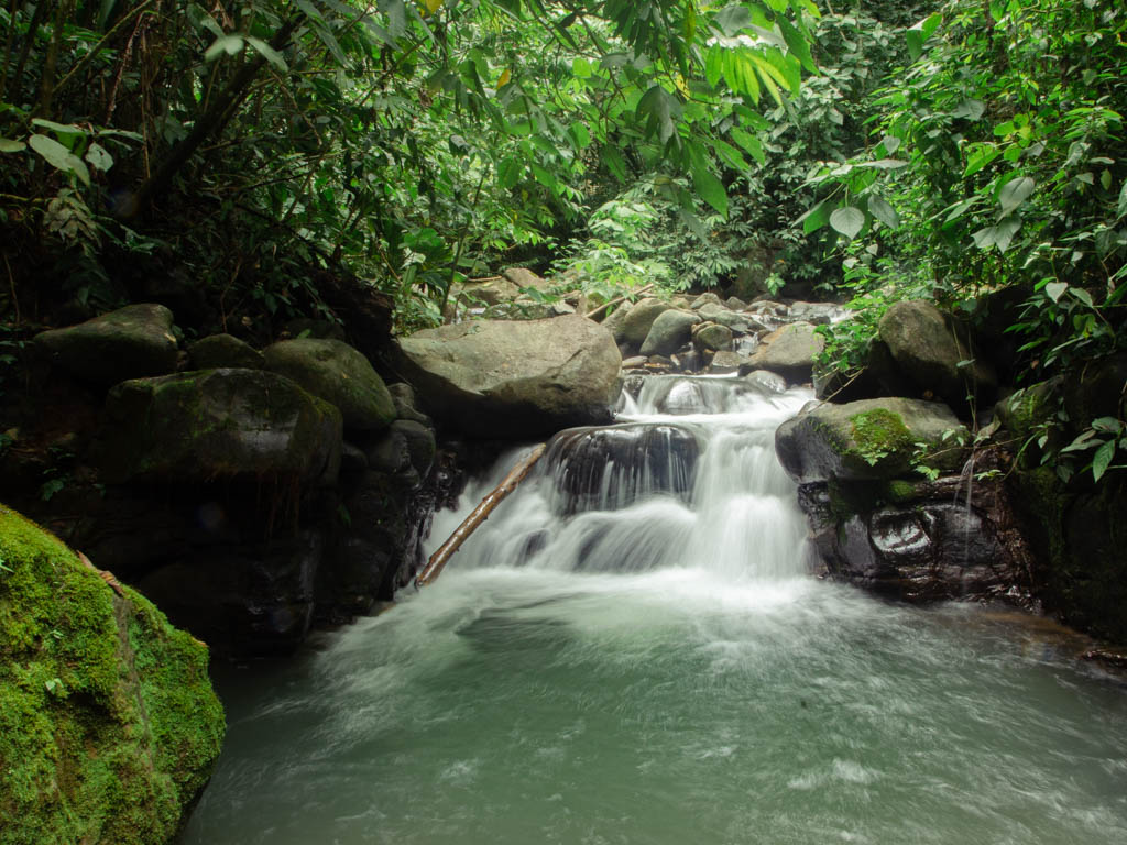 The relaxing river pool surrounded by lush jungle at Oxygen Jungle Villas
