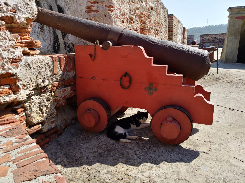 A canon at Castillo se San Felipe.