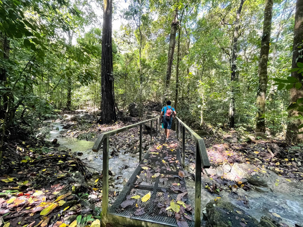 A man crossing the bridge over the stream while hiking the Danes Trail.