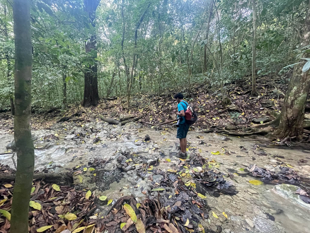 A man searching for stones to cross the river in the Danes Trail
