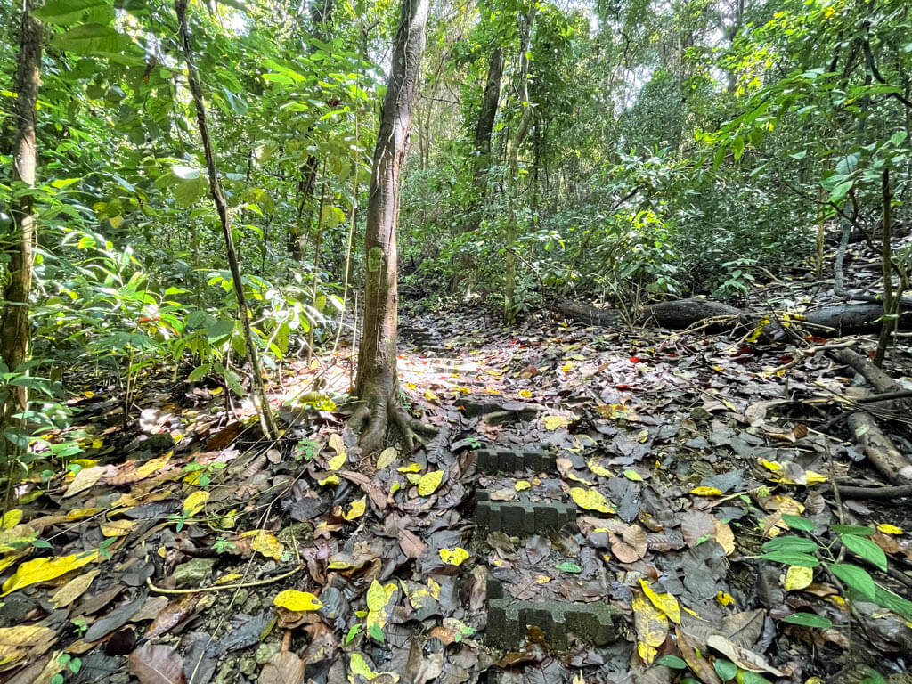 The concrete steps of Danes trail.