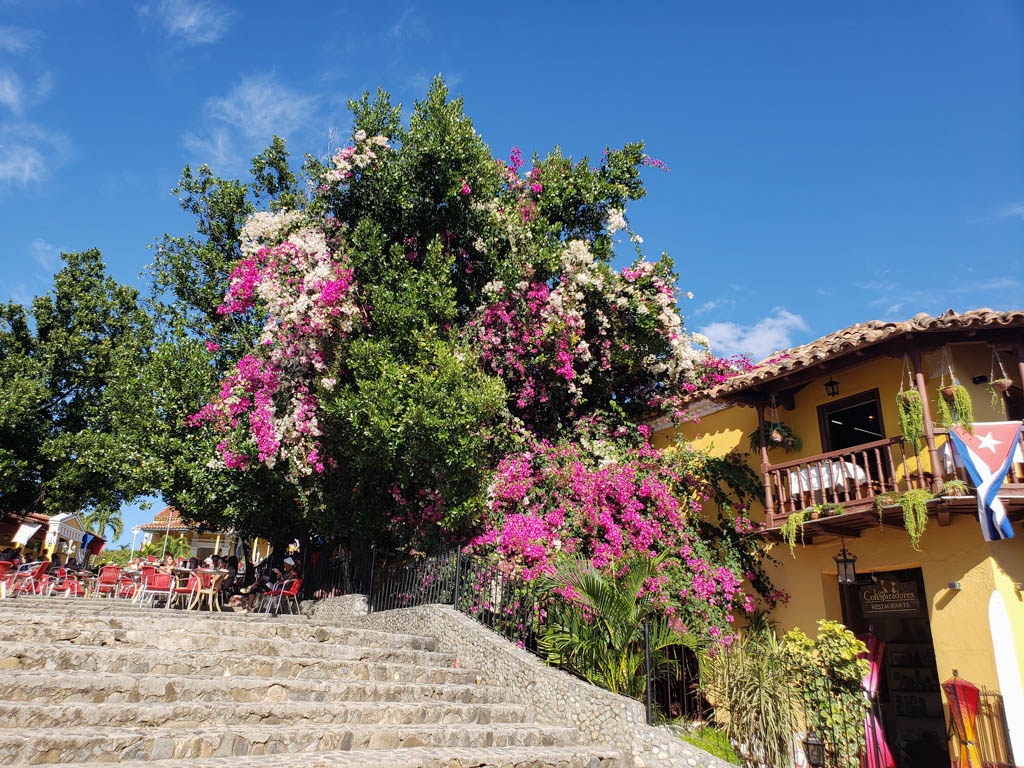 The empty stairs of Casa de la Musica during daytime. A few red chairs on the platform. The stairs are lines by trees with pink flowers.