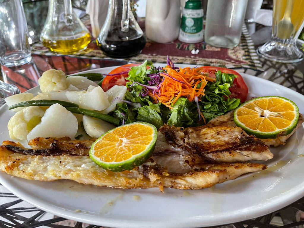 Grilled fish with lemon, boiled potatoes and salad.