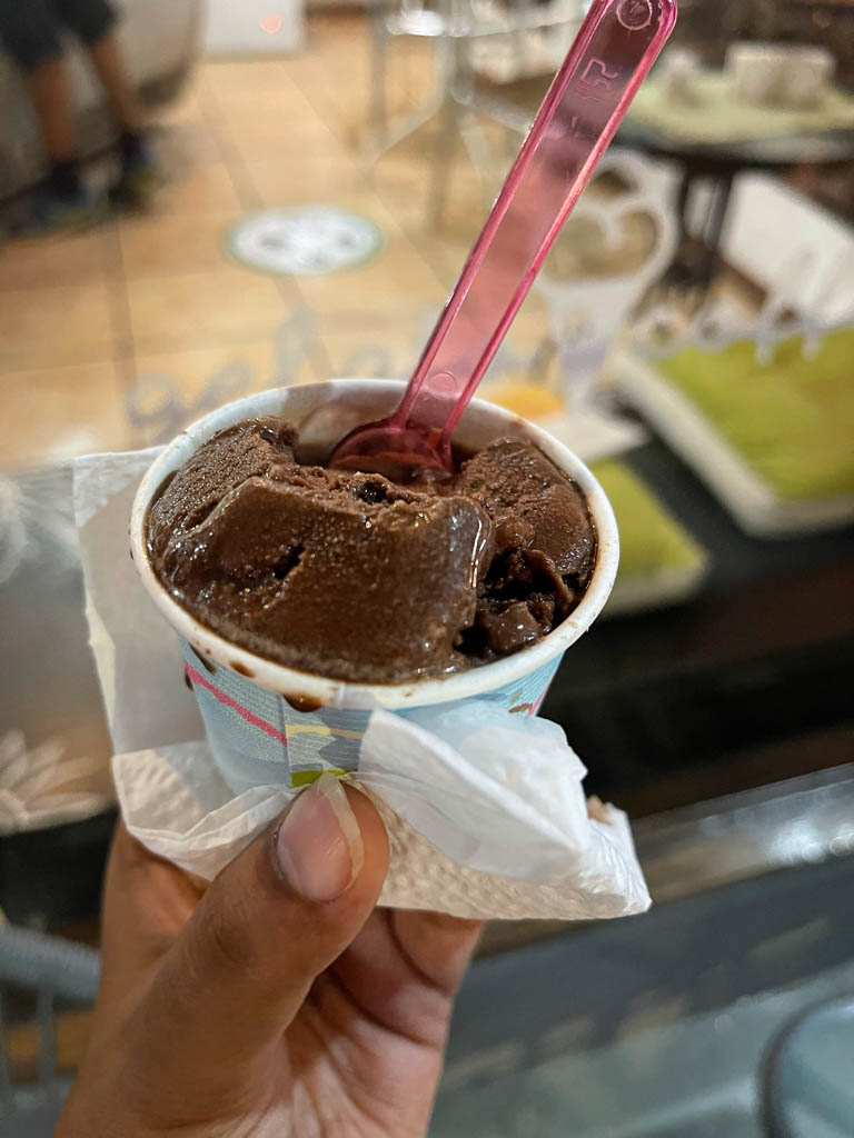 A cup of chocolate ice-cream.