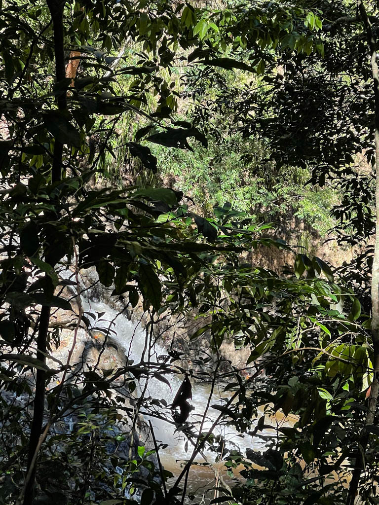 A clean glimpse of the Middle Montezuma waterfall from the trail