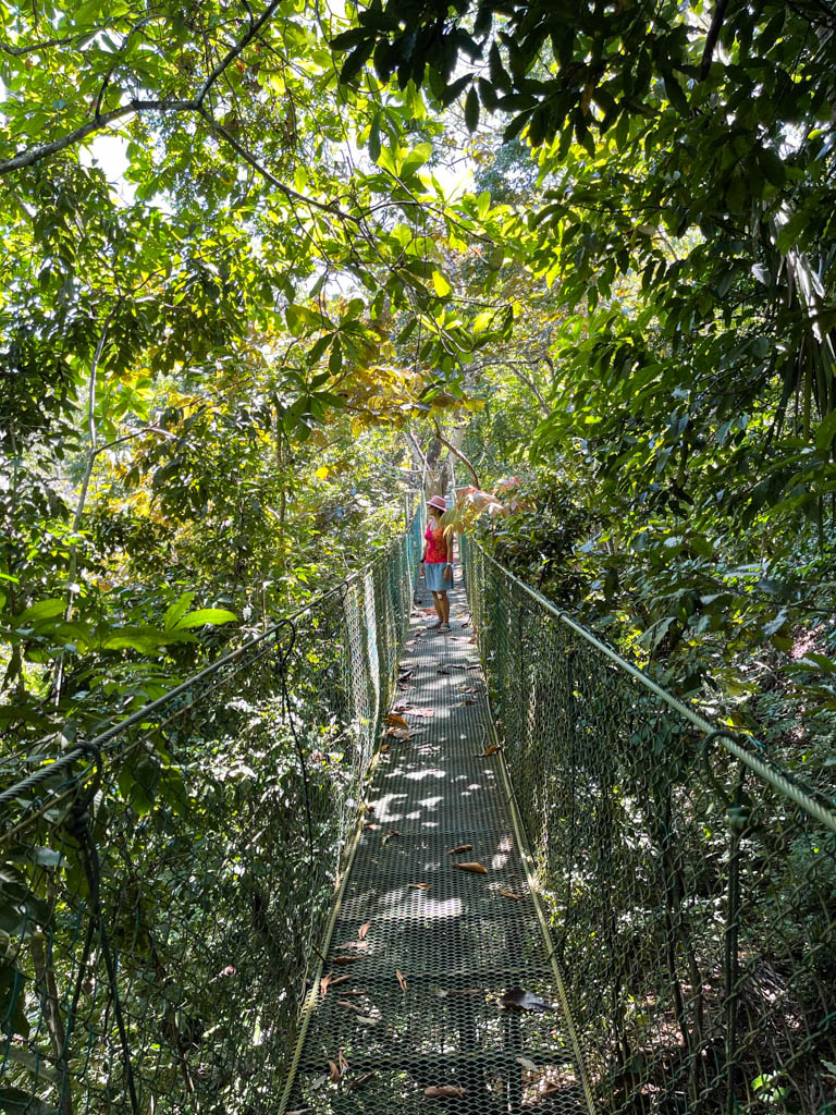 The hanging bridge at the beginning of the trail to the Waterfalls.
