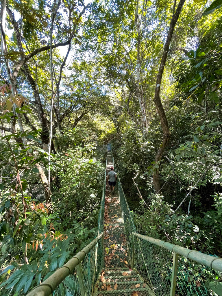 Another Hanging Bridge near the Sun Trails Tour entrance