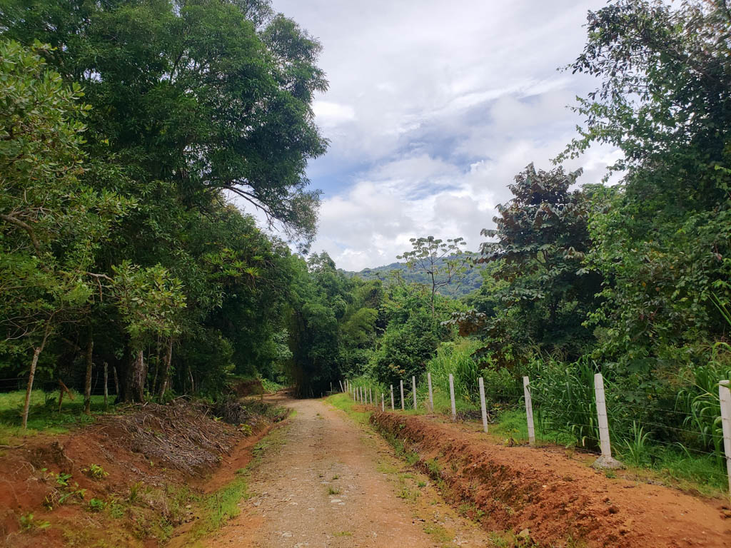 Another Part of the trail to the waterfalls