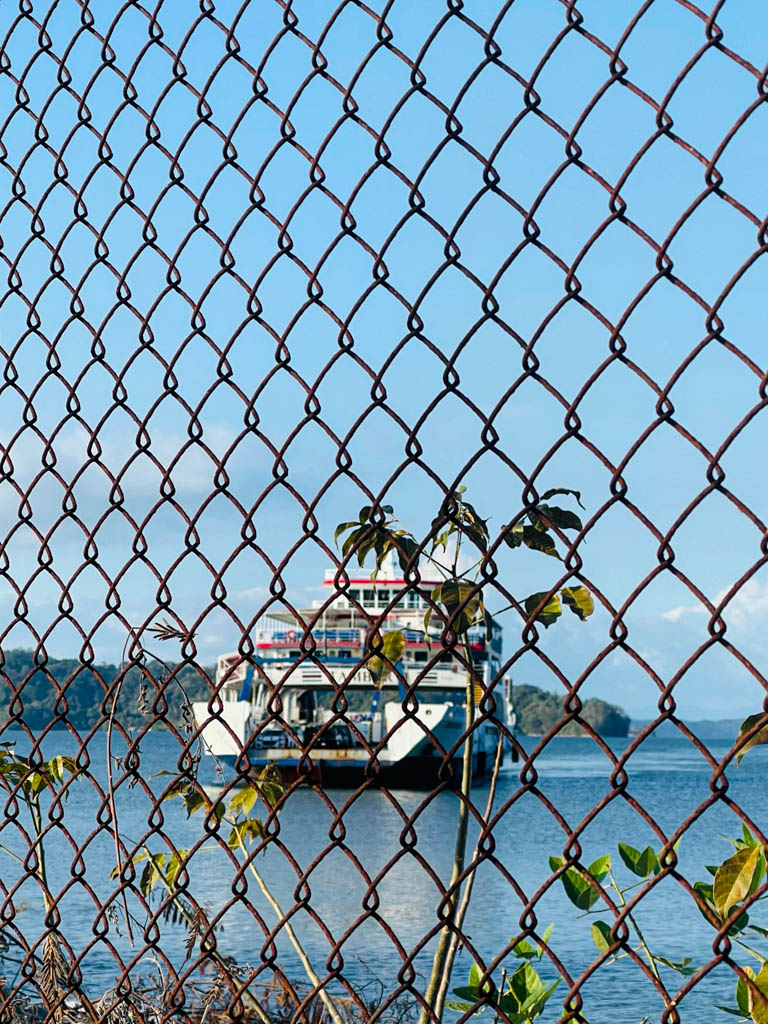 Naviera Tambor ferry seen through the nets