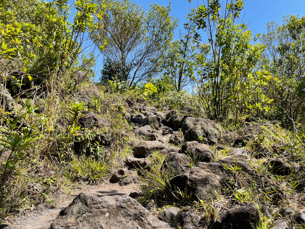 Lava rocks on the Las Coladas trail.