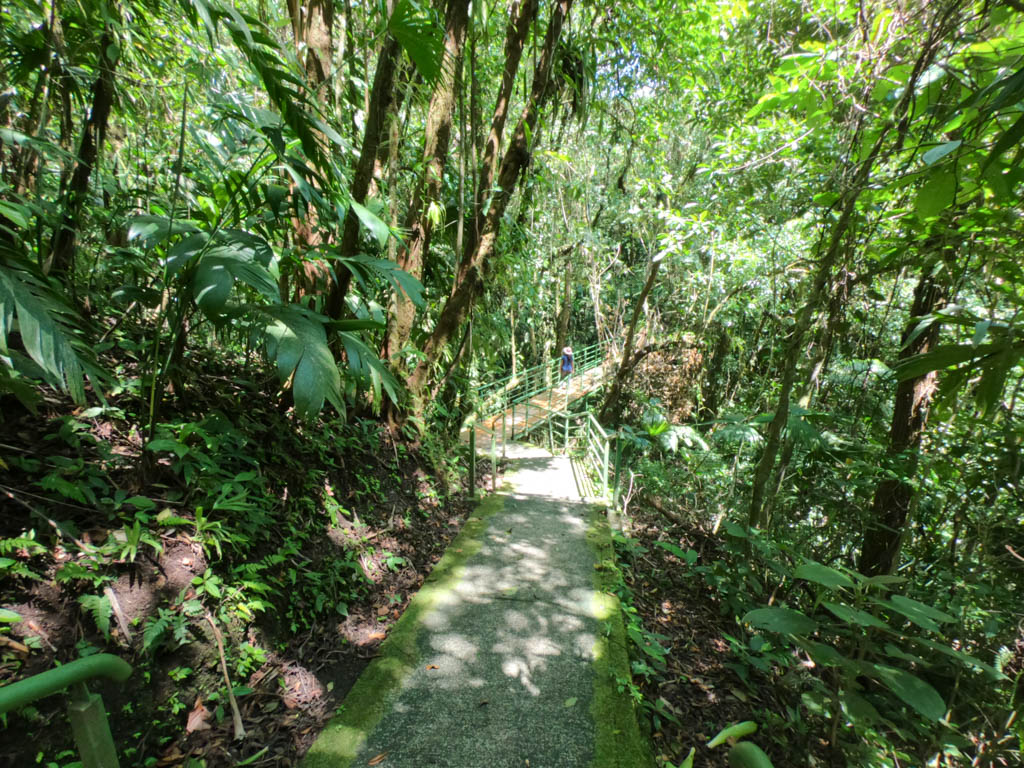 The side trail with a bridge and paved path of the Peninsula sector.