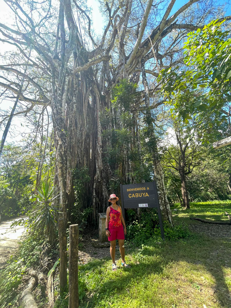 Woman wearing pink top, pink shorts and pink hat, posing next to El Higueron tree in Cabuya, Costa Rica.
