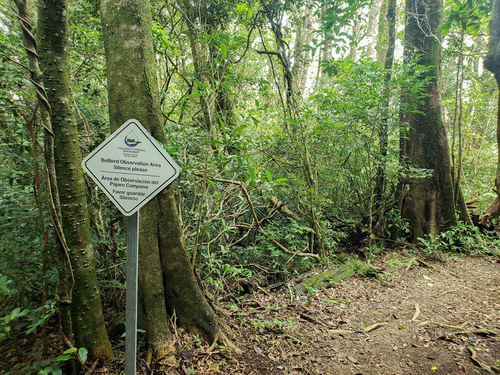 A zone of the forest marked as Bellbird Observation Area at Bajo del Tigre, Monteverde.