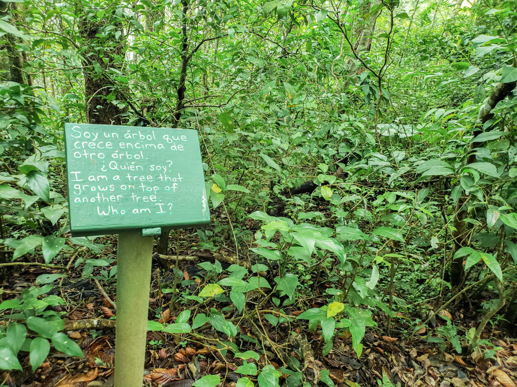 Fun Q/A board for children on the Children's Trail, asking questions about the trees and the forest.
