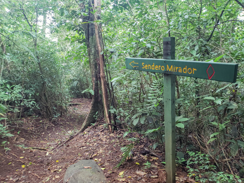 A signage for the trail leading to Mirador (viewpoint) at Children's Eternal Rainforest in Monteverde.