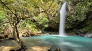 La Cangreja Waterfall, white waterfall dropping into a blue pool. Jungle surroundings.