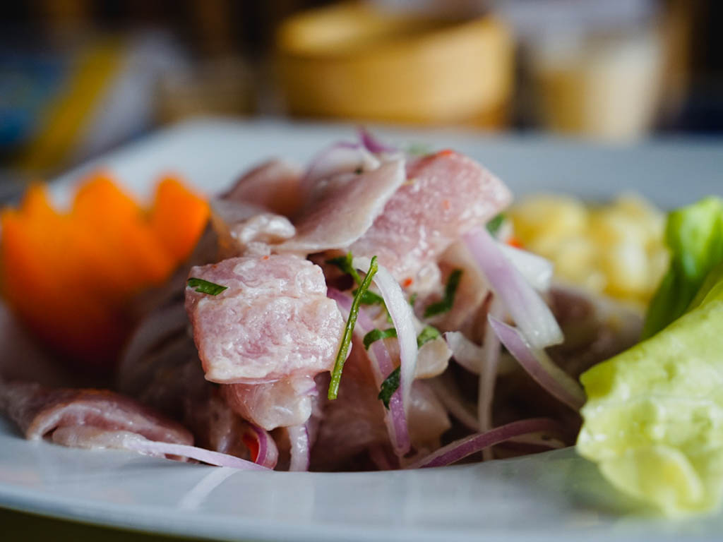 A close shot of Peruvian ceviche.