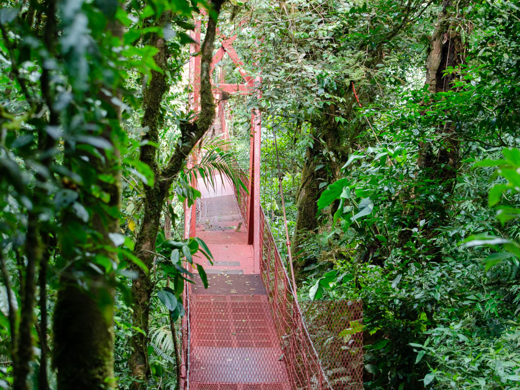 The Hanging Bridge of Monteverde Cloud Forest Biological Reserve