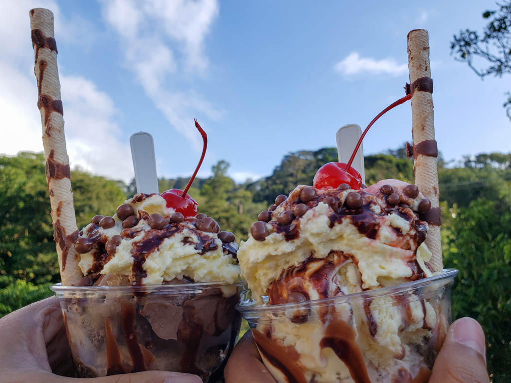 Two cups of ice-cream sundaes with cream, choco chips and cherry toppings. Blue sky and green jungle in the background. Location: Heladeria Monteverde.