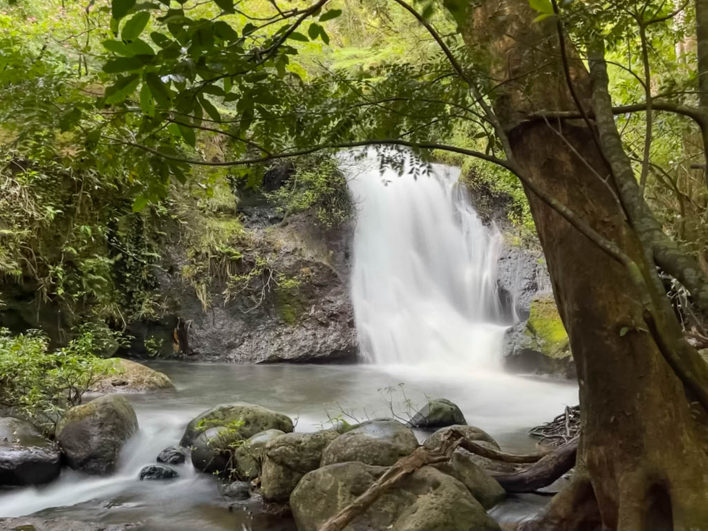A long exposure shot of the beautiful waterfall surrounded by jungle.