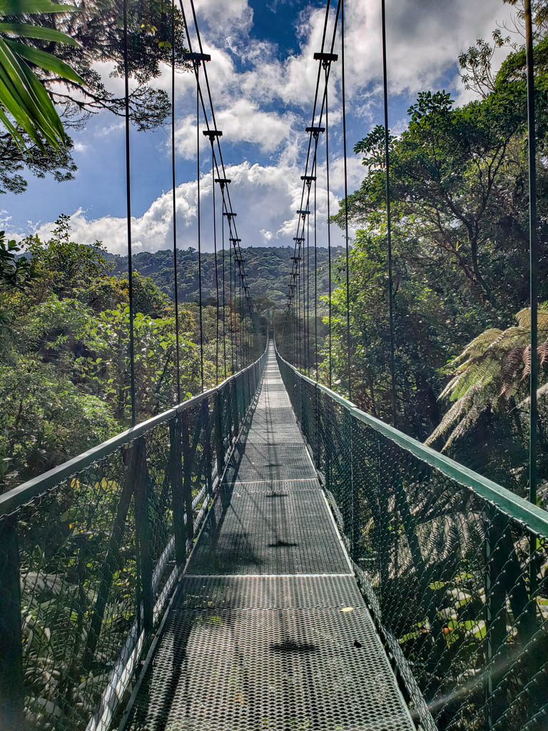 Hanging Bridge in Selvatura Park, Monteverde