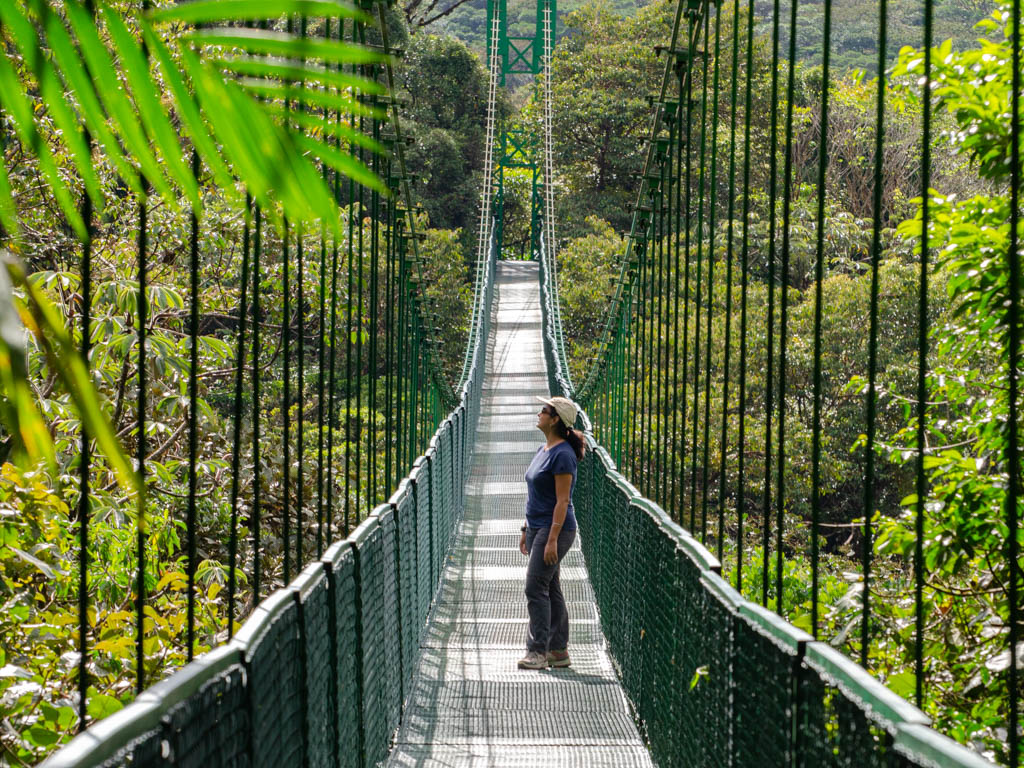 Woman standing on a hanging bridge, enjoying the view of the cloudforests in Monteverde, Costa Rica.