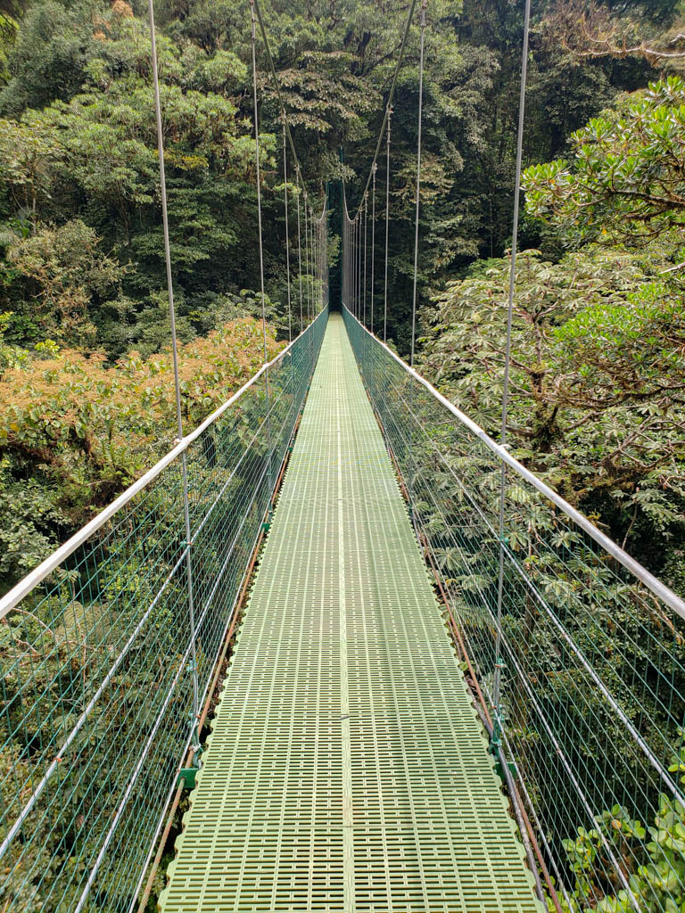 Hanging Bridge surrounded by cloud forest in Monteverde.