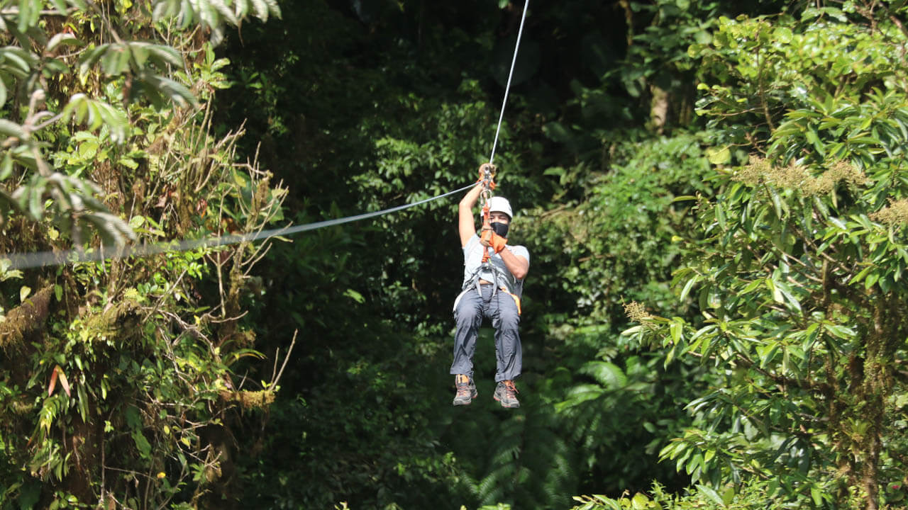 Zip lining in Monteverde provides a bird's eye view of the cloud forests while you fly over them, making it a top activity in the area.