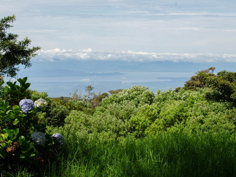 View of Gulf of Nicoya from the trail.