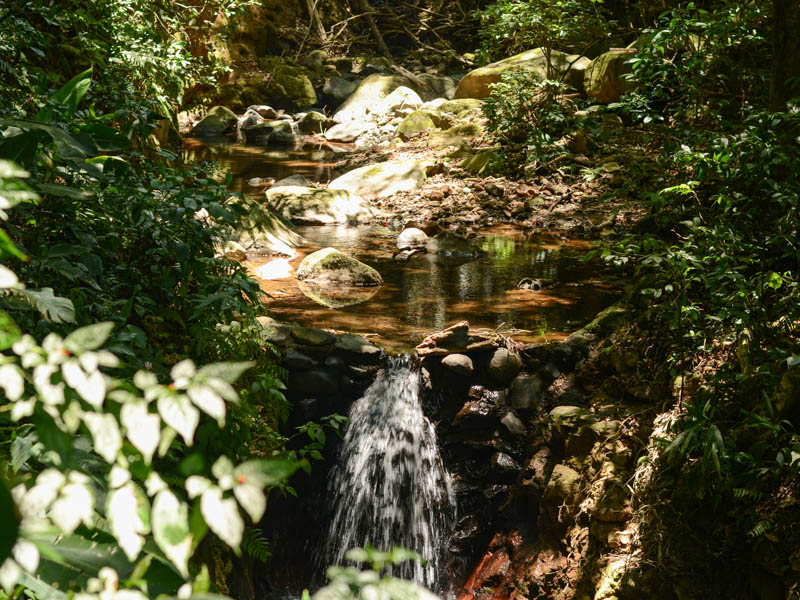 Rio Cuecha.
