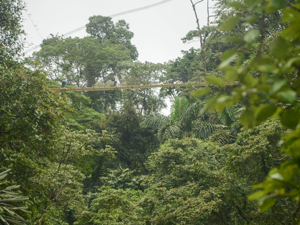 Hanging Bridge view from another hanging bridge.