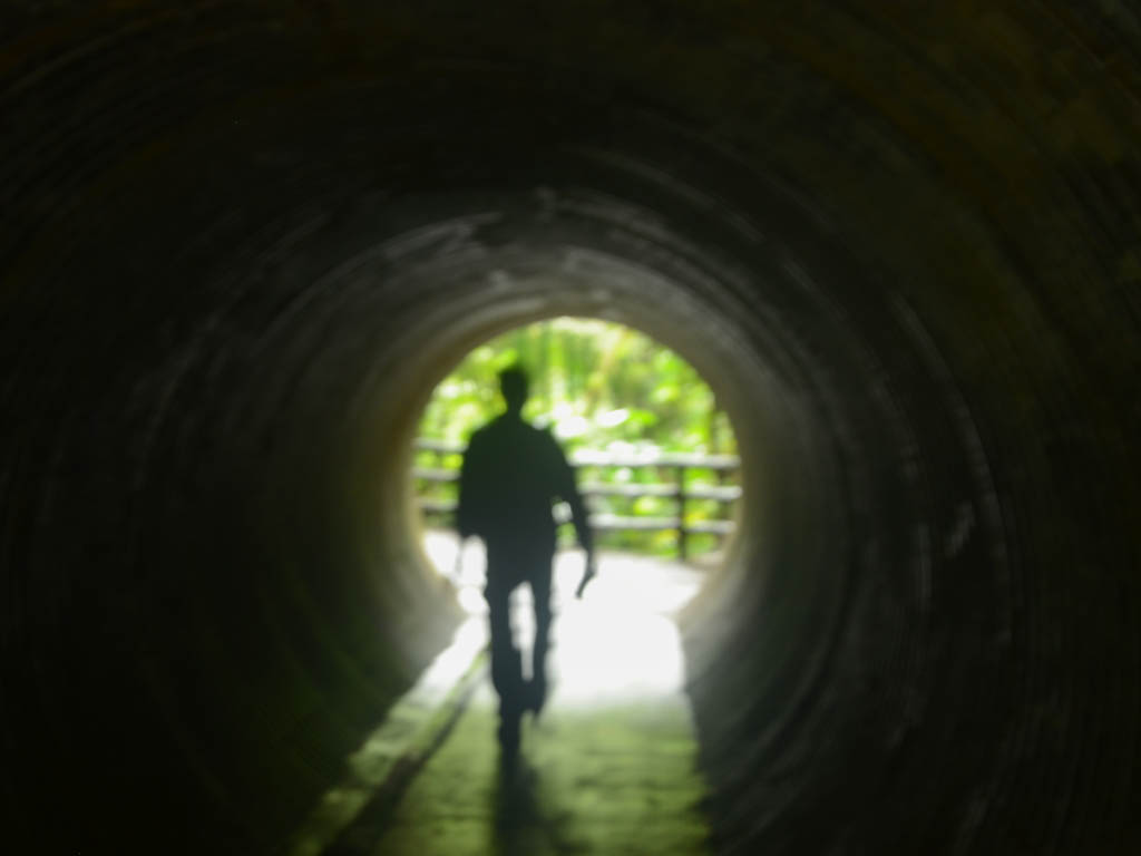 A man walking through the Jumping Pit-Viper Tunnel.