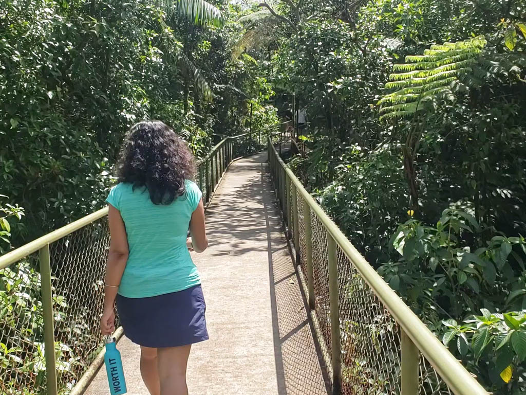Woman wearing dark blue skirt and green dry-fit tee, walking on the first hanging bridge of the Tenorio Volcano National Park.