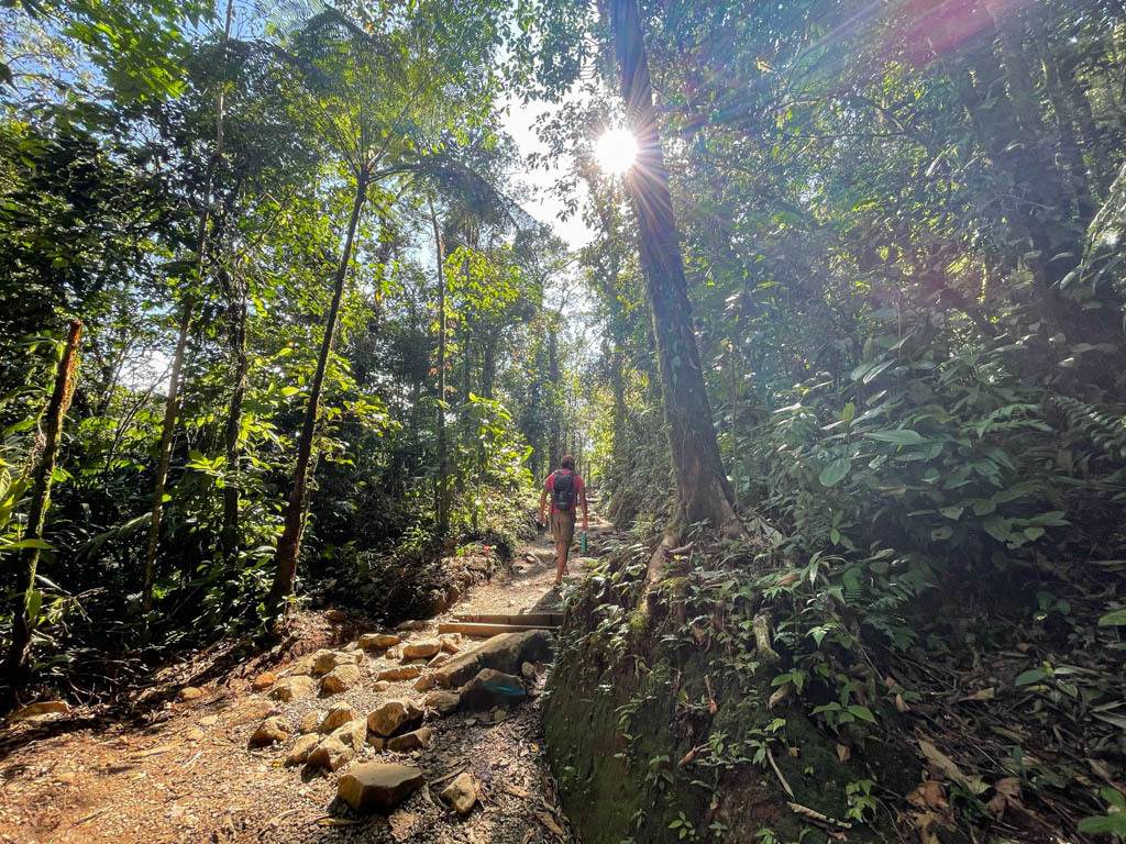 Man wearing red t-shirt, green hiking shorts, red cap, and carrying a backpack, waking on the nature trail of Tenorio Volcano National Park.