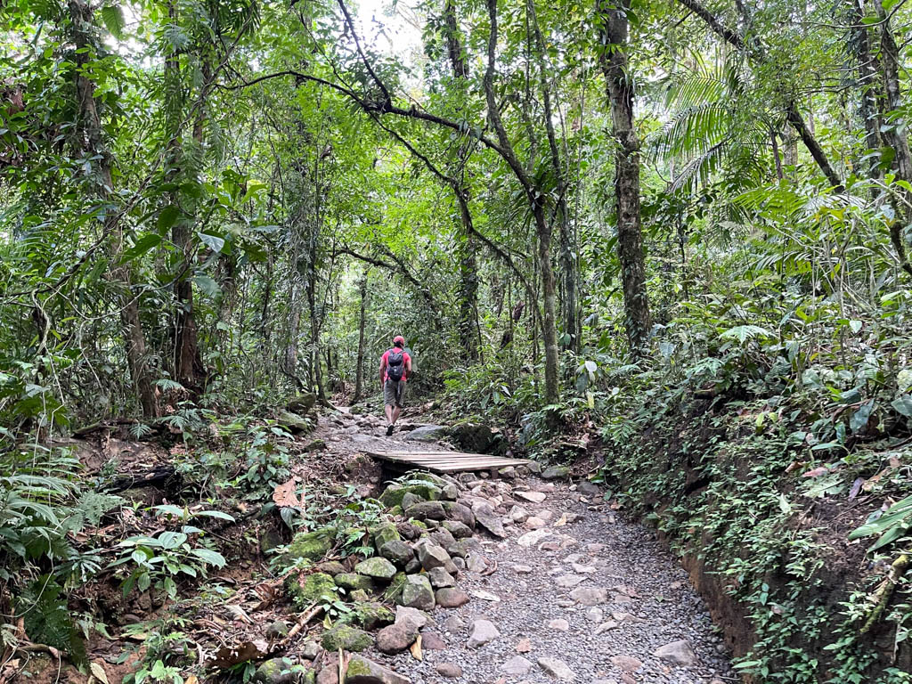 Man wearing red t-shirt, green hiking shorts, red cap, and carrying a backpack, waking on the Rio Celeste Waterfall trail.
